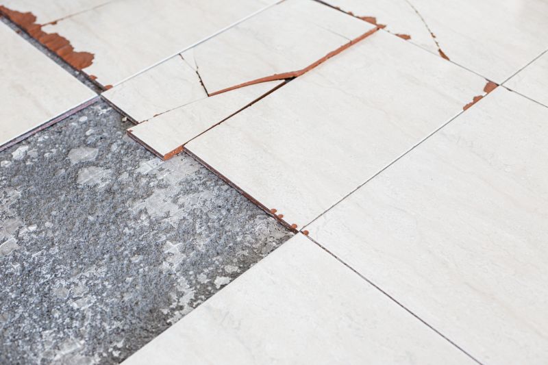 Damaged Tile Replacement detail